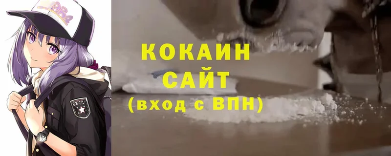 COCAIN Боливия  закладка  Болхов 